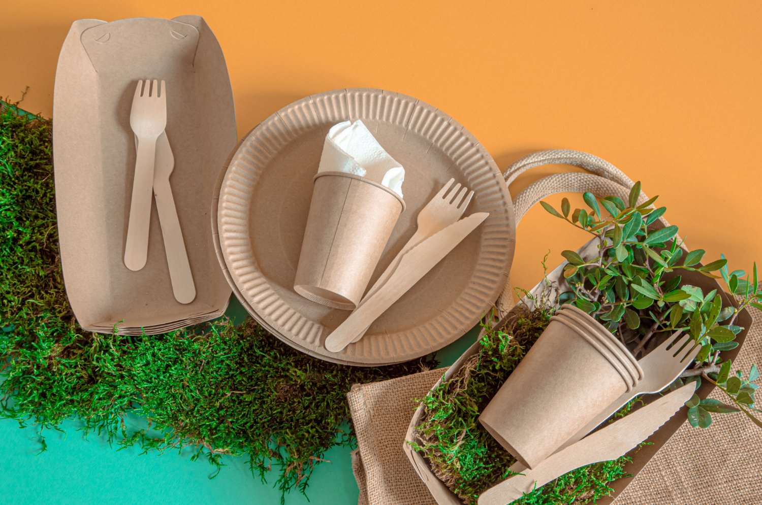 Colourful compostable tableware flat lay